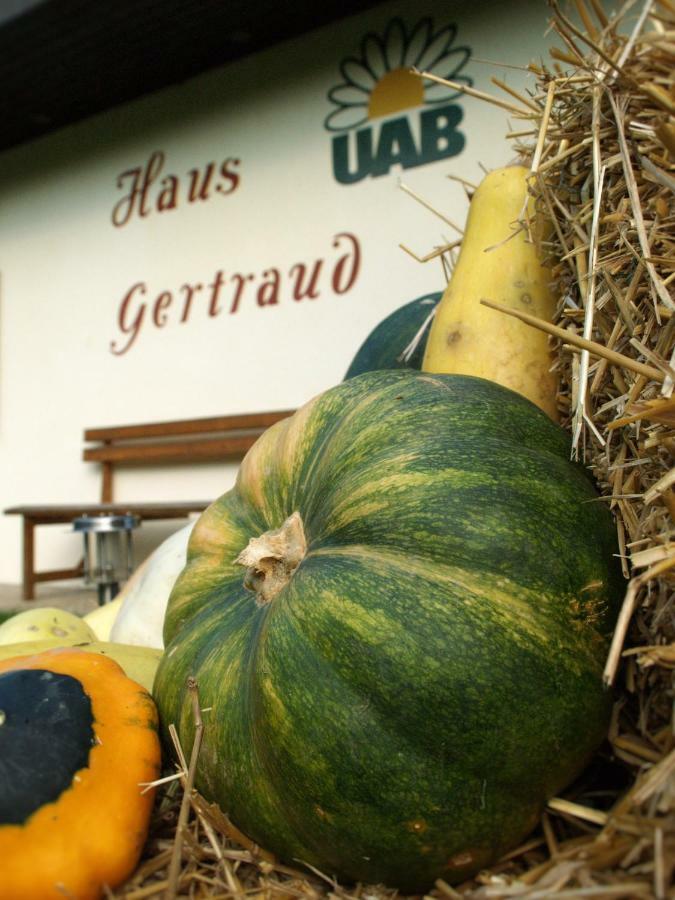 巴特格莱兴贝格Haus Gertraud别墅 外观 照片